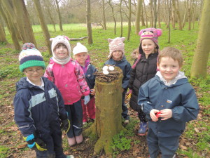 Fearless Foxes Nest Building 090