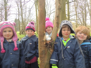Fearless Foxes Nest Building 096